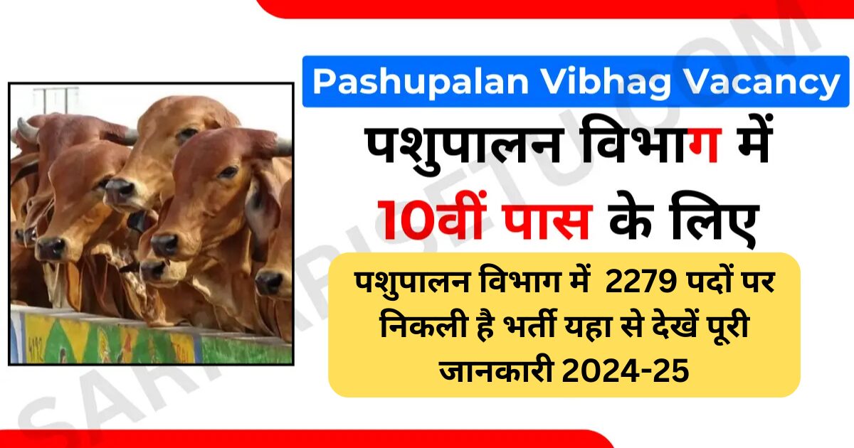 pashupalan vibhag bharti 2024